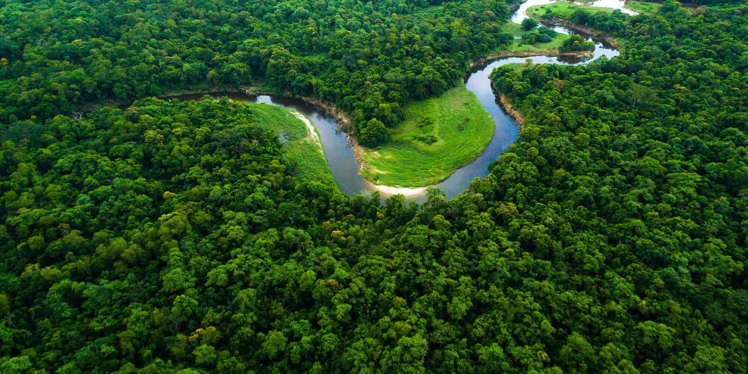 forest-conservation 3